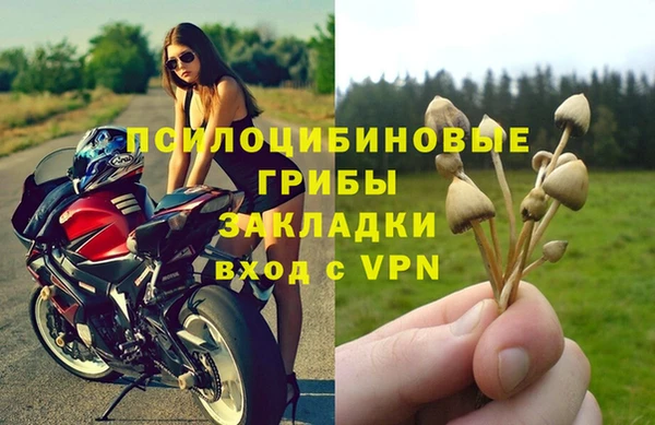 COCAINE Верея