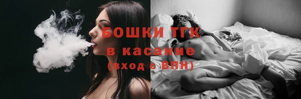 сатива Туринск