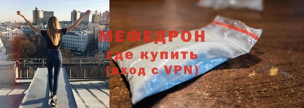 сатива Туринск