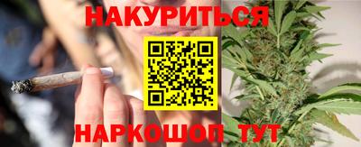 стафф Нальчик