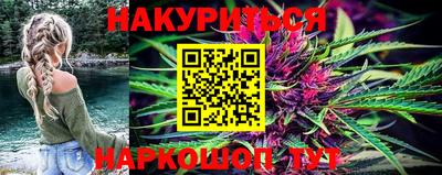 стафф Нальчик
