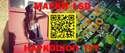 стафф Нальчик