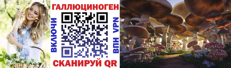 Псилоцибиновые грибы GOLDEN TEACHER  Рузаевка 