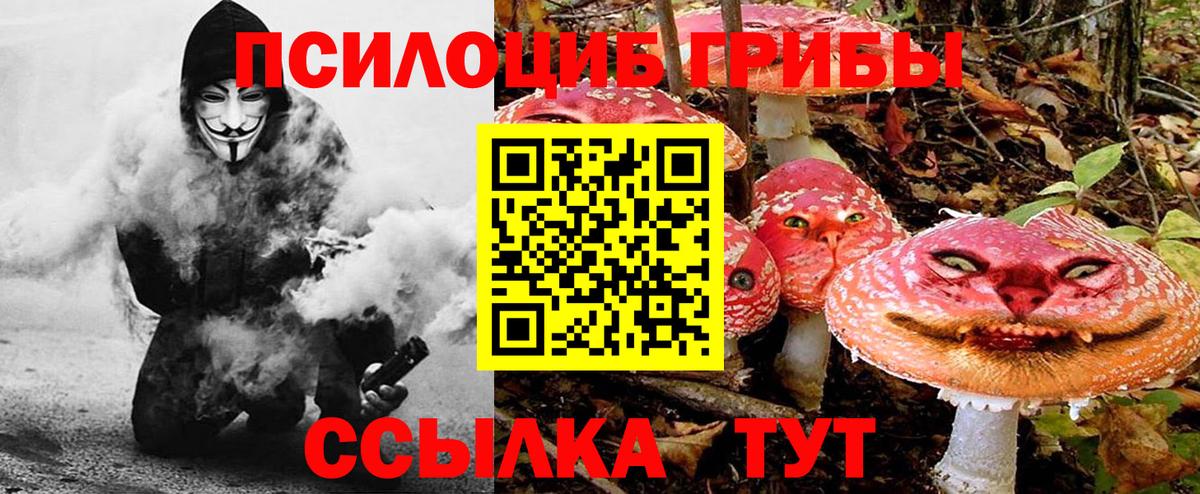 Галлюциногенные грибы прущие грибы  Вход с VPN  Рузаевка  Галлюциногенные грибы MAGIC MUSHROOMS 