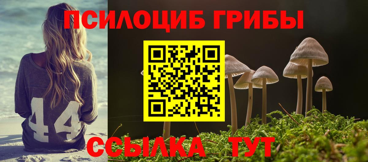 Псилоцибиновые грибы MAGIC MUSHROOMS Рузаевка